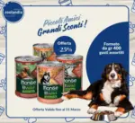 Zoolandia Megastore Piccoli Amici Grandi Sconti! - al 31.03.2025