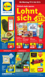 Lidl: Wochenangebote