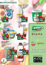 Catalog Diana până în data de 31.03.2025