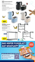 HOFER HOFER: Flugblatt - ab 21.03.2025