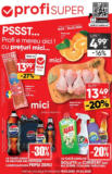 Catalog Profi până în data de 01.04.2025