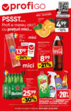 Catalog Profi până în data de 01.04.2025