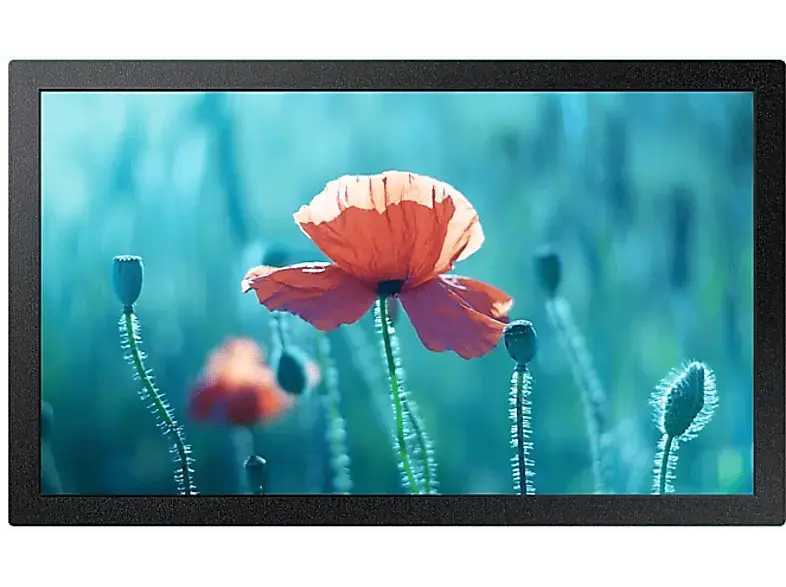 Samsung QB13R-M 13,27 Zoll Display for Business, Full-HD, 30 ms Reaktionszeit, 500 cd/m², Hz, schwarz