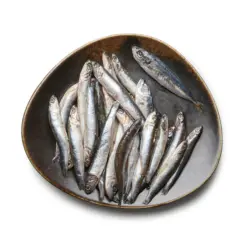 Хамсия замразена