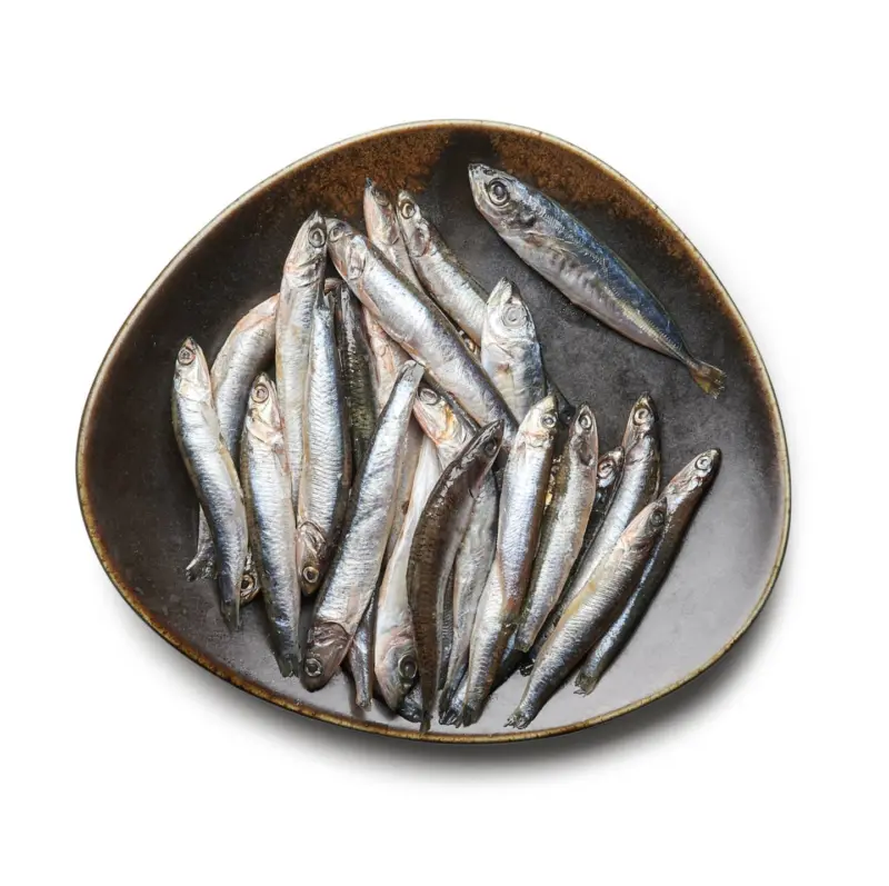 Хамсия замразена