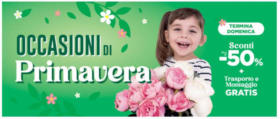 Occasioni di primavera