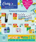 Caddy's Maxistore Pulizie di primavera! - al 15.04.2025