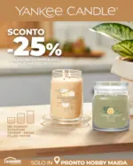 Pronto Hobby Sconto -25% - al 15.04.2025