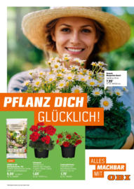 OBI: Pflanz dich glücklich