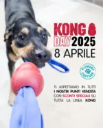 Homery Kong Day 2025 - al 08.04.2025