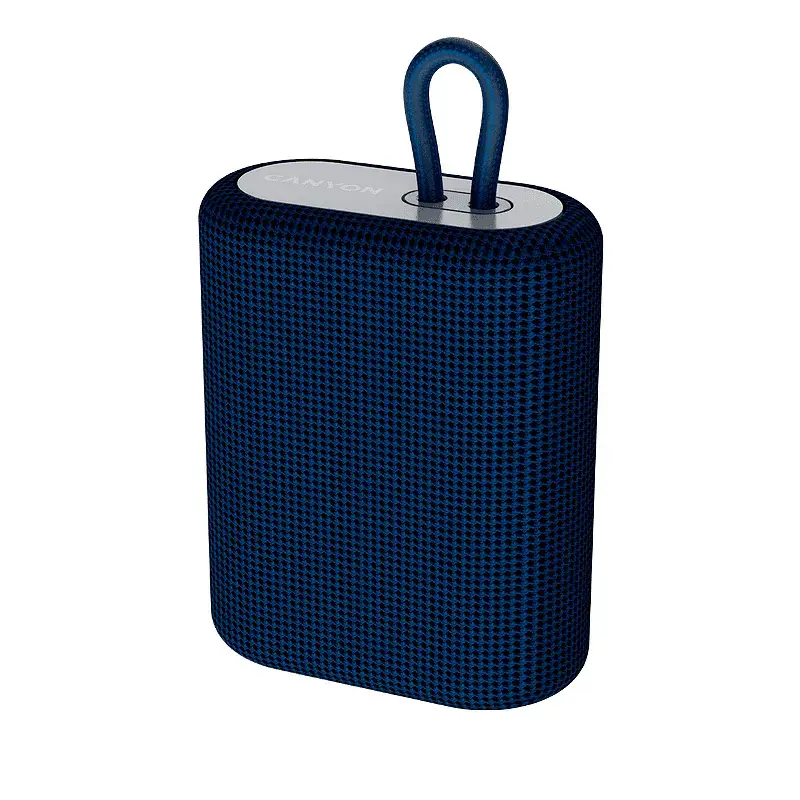Bluetooth колонка Canyon CNE-CBTSP4BL