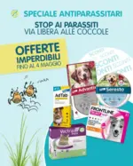 Homery Offerte imperdibili - al 04.05.2025