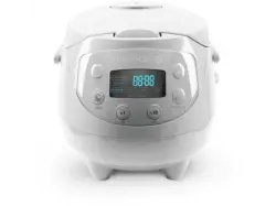 Reishunger Digitaler Reiskocher (350 Watt, 0,6 l, Grau)