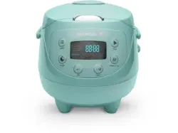 Reishunger Digitaler Mini Reiskocher (350 Watt, 0,6 l, Mint)