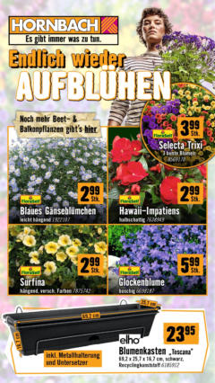 Vorschau der Angebote: Hornbach Flugblatt gültig ab 16.04.2025