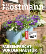 Blumen Ostmann GmbH Blumen Ostmann - Farbenpracht vor der Haustür - bis 18.04.2025
