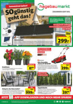 Hagebau Hagebaumarkt Brake - So günstig geht das! - bis 16.05.2025