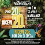 Zoomiguana Ricevi 20€ ogni 20€ di spesa - al 13.04.2025
