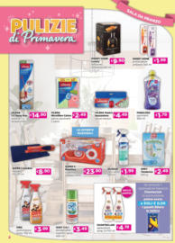 Pulizie di Primavera