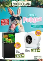 Zoomiguana Buona pasqua - al 04.05.2025