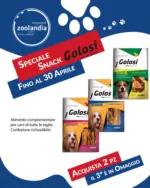 Zoolandia Megastore Fino al 30 Aprile - al 30.04.2025