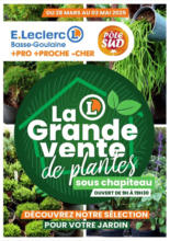 OP CHAPITEAU PLANTES