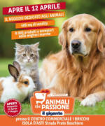 Il Gigante Apre il negozio dedicato agli animali - al 04.05.2025