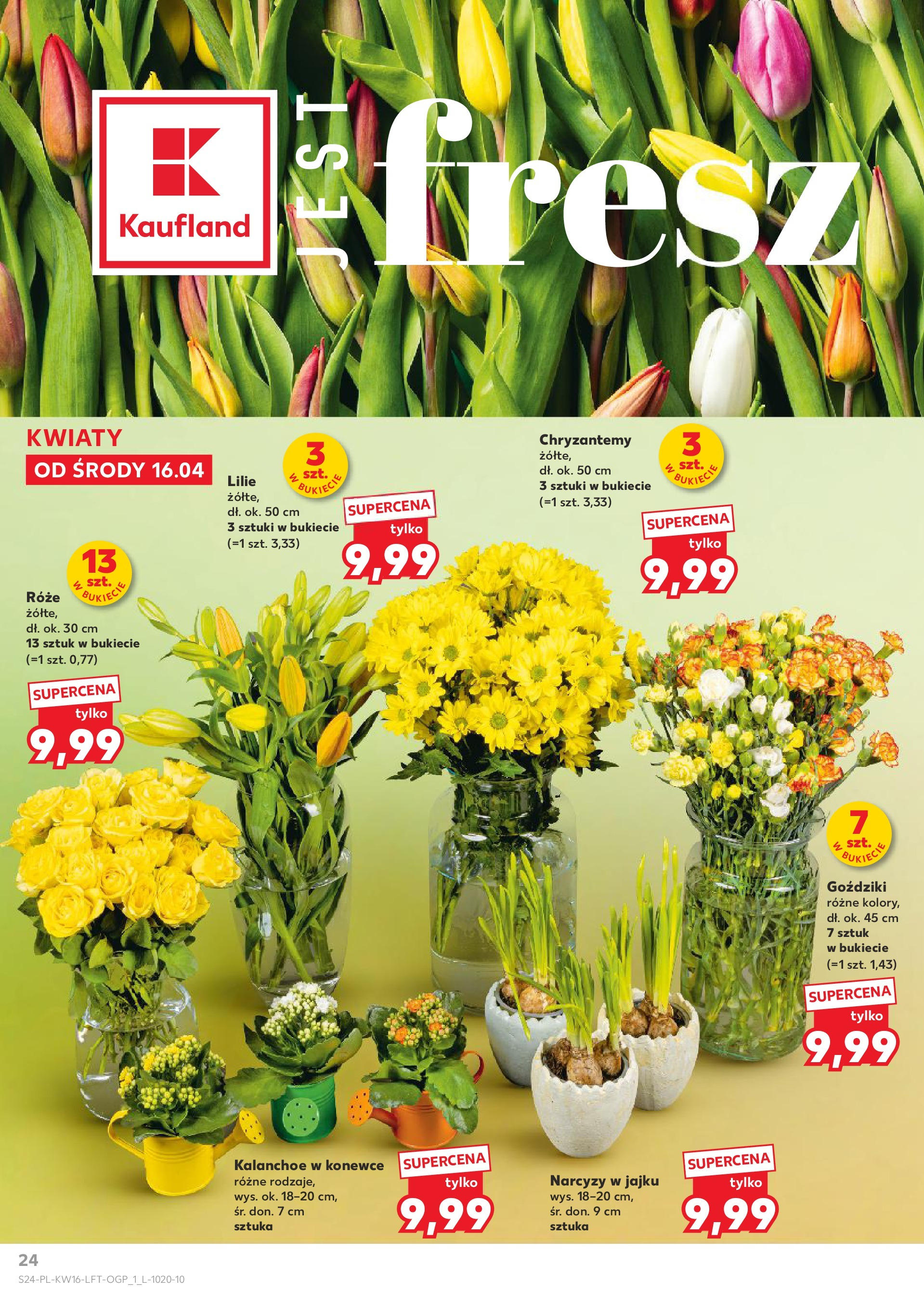 Kaufland gazetka (16.04.2025) - od jutra | Strona: 24 | Produkty: Karkówka, Mięso, Steki, Wołowina Kaufland gazetka od 16.04.2025 - od jutra PDF | Strona: 24 | Produkty: Karkówka, Mięso, Steki, Wołowina