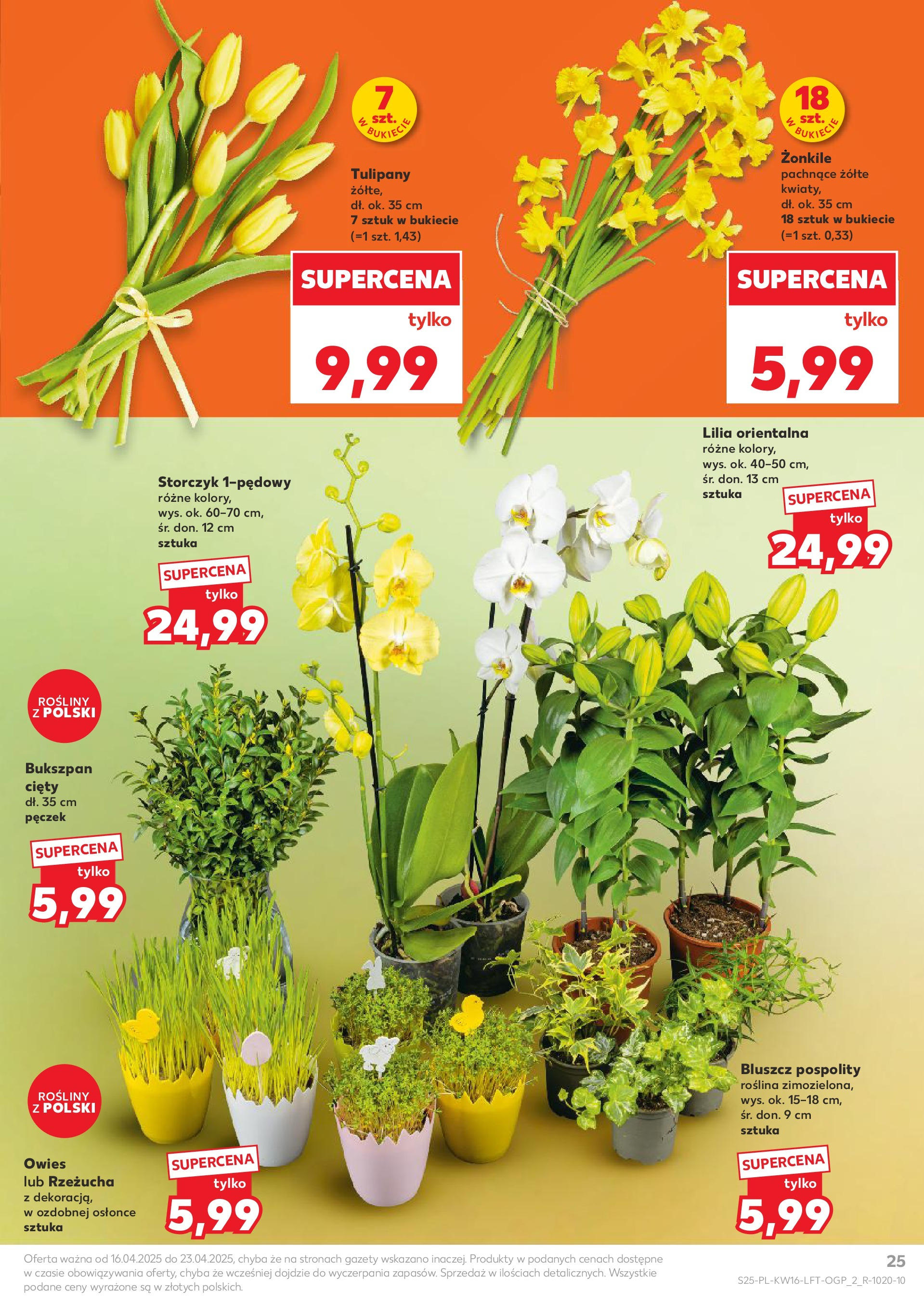 Kaufland gazetka (16.04.2025) - od jutra | Strona: 25 | Produkty: Kapusta, Boczek wieprzowy, Golonka wieprzowa, Noga z kaczki Kaufland gazetka od 16.04.2025 - od jutra PDF | Strona: 25 | Produkty: Kapusta, Boczek wieprzowy, Golonka wieprzowa, Noga z kaczki