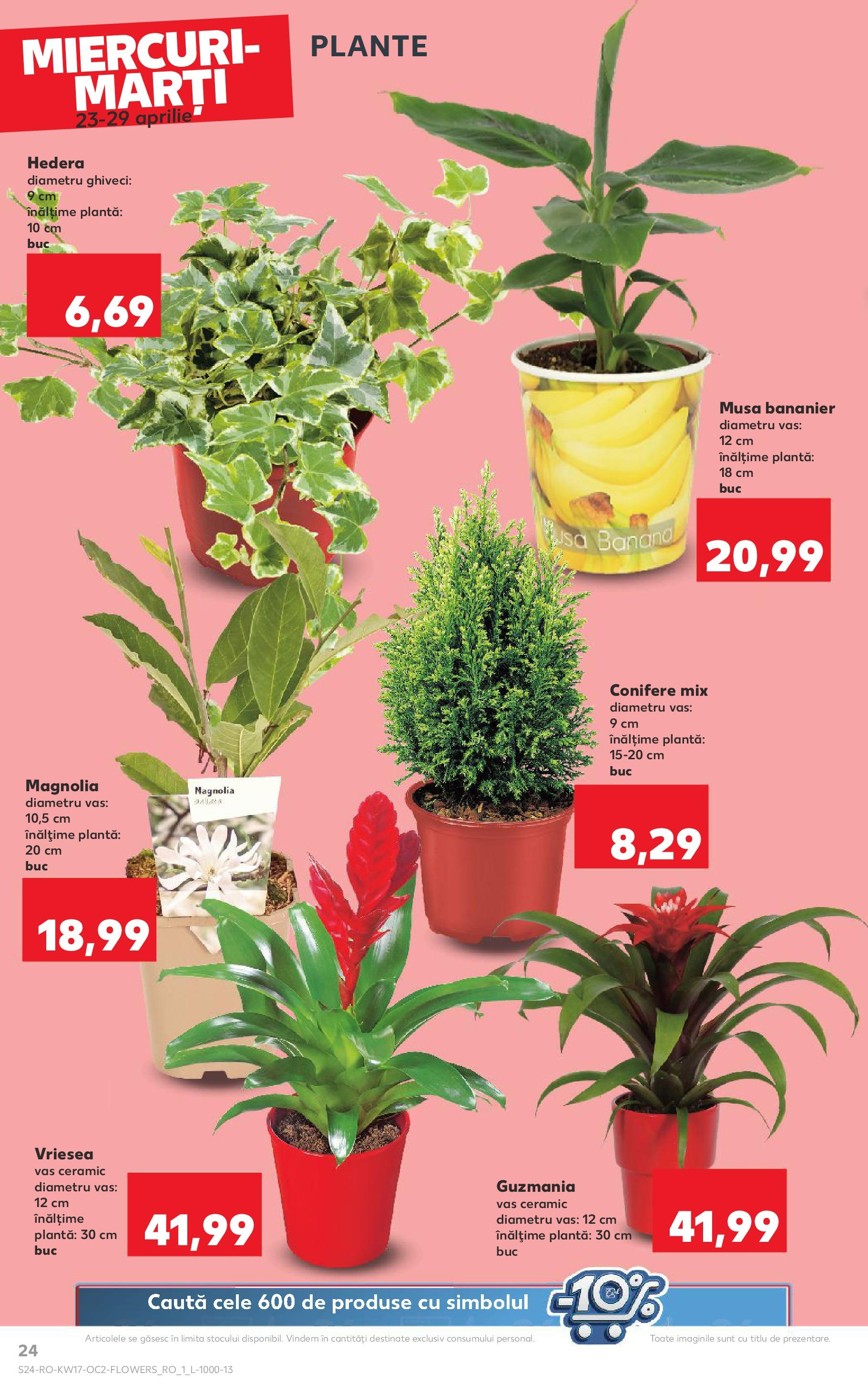 Catalog Kaufland - Târgovişte 23.04.2025 || Revista si Oferte | Pagină: 24 | Produse: Ghiveci Catalog Kaufland - Târgovişte 23.04.2025 - Revista si Oferta | Pagină: 24 | Produse: Ghiveci