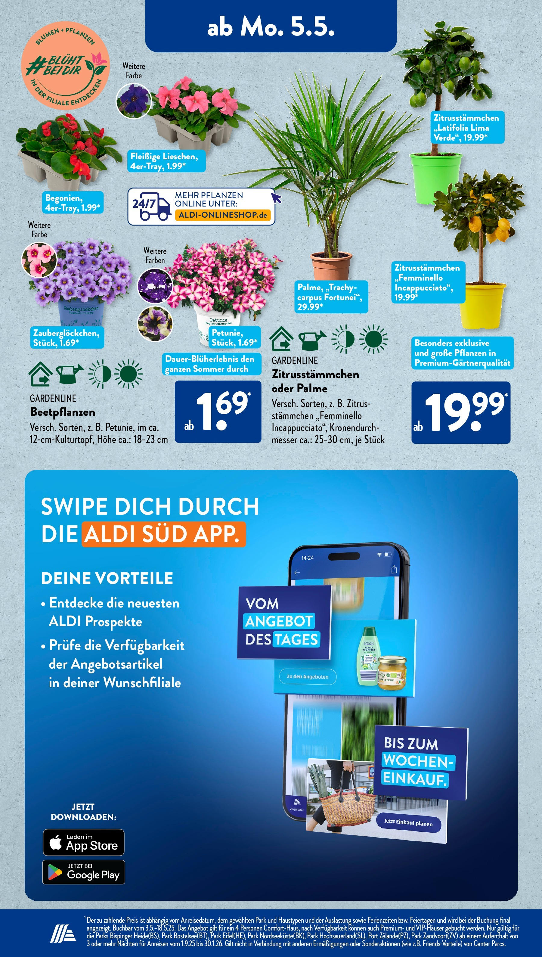 Aldi Süd - Aldi Süd: Wochenangebote (ab 04.05.2025) zum Blättern | Seite: 17 | Produkte: Blumen Aldi Süd - Aldi Süd: Wochenangebote (ab 04.05.2025) zum Blättern | Seite: 17 | Produkte: Blumen