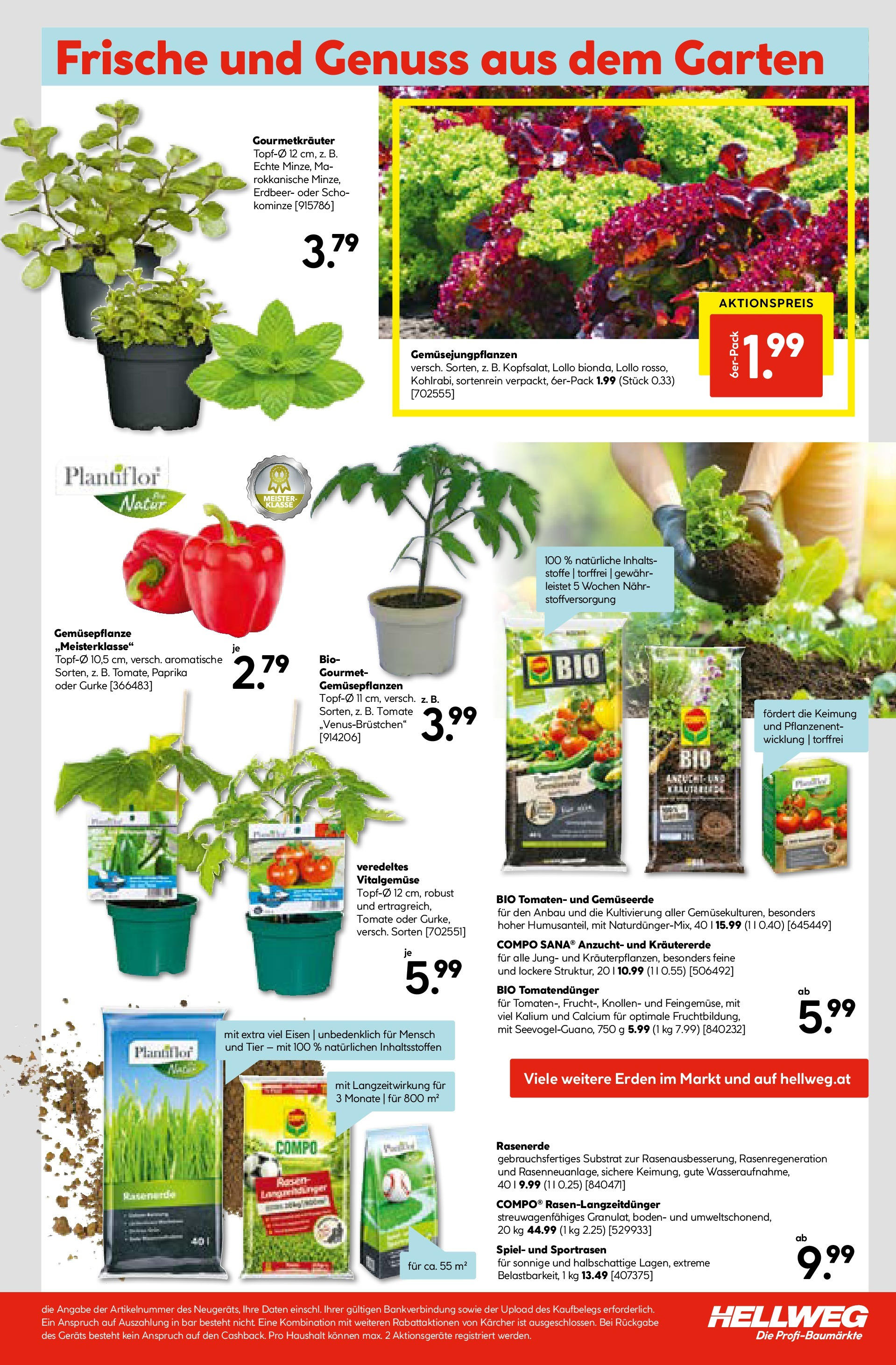 HELLWEG Vöcklabruck (30.04.2025) || Aktuelle Angebote | Seite: 25 | Produkte: Spiel, Tomaten HELLWEG Vöcklabruck von 30.04.2025 - Aktuelle Angebote | Seite: 25 | Produkte: Spiel, Tomaten