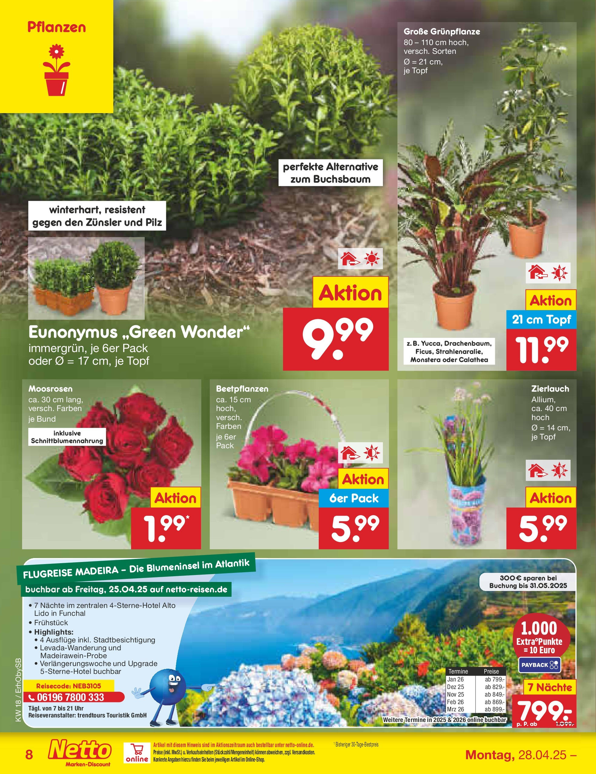 Netto Marken-Discount - Netto: Wochenangebote (ab 27.04.2025) » Angebote | Seite: 8 | Produkte: Uhr Netto Marken-Discount - Netto: Wochenangebote (ab 27.04.2025) » Angebote | Seite: 8 | Produkte: Uhr