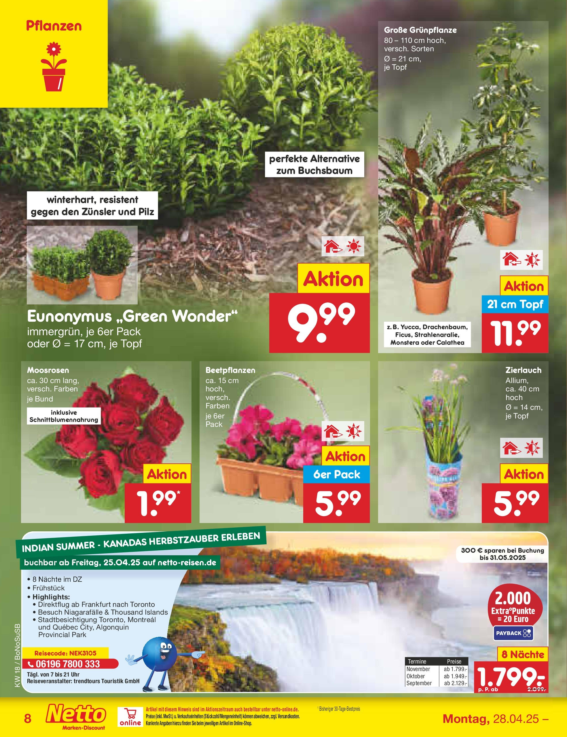 Netto Marken-Discount - Netto: Wochenangebote (ab 27.04.2025) » Angebote | Seite: 8 | Produkte: Uhr