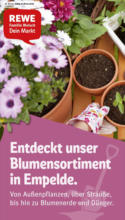 Rewe Rewe: Wochenangebote - bis 04.05.2025