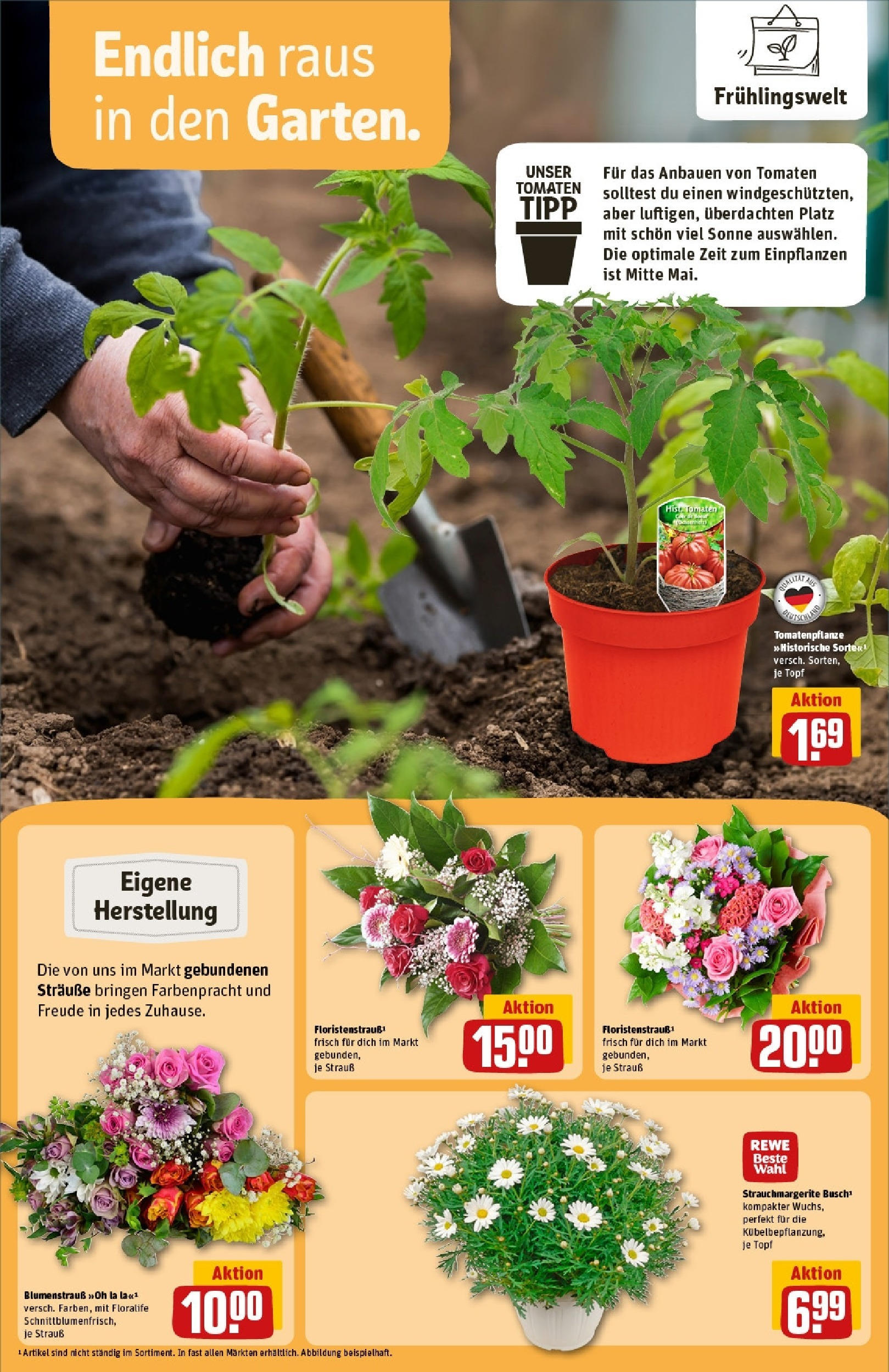 Rewe - Rewe: Wochenangebote (ab 27.04.2025) zum Blättern » Angebote | Seite: 12 | Produkte: Tomaten Rewe - Rewe: Wochenangebote (ab 27.04.2025) zum Blättern » Angebote | Seite: 12 | Produkte: Tomaten