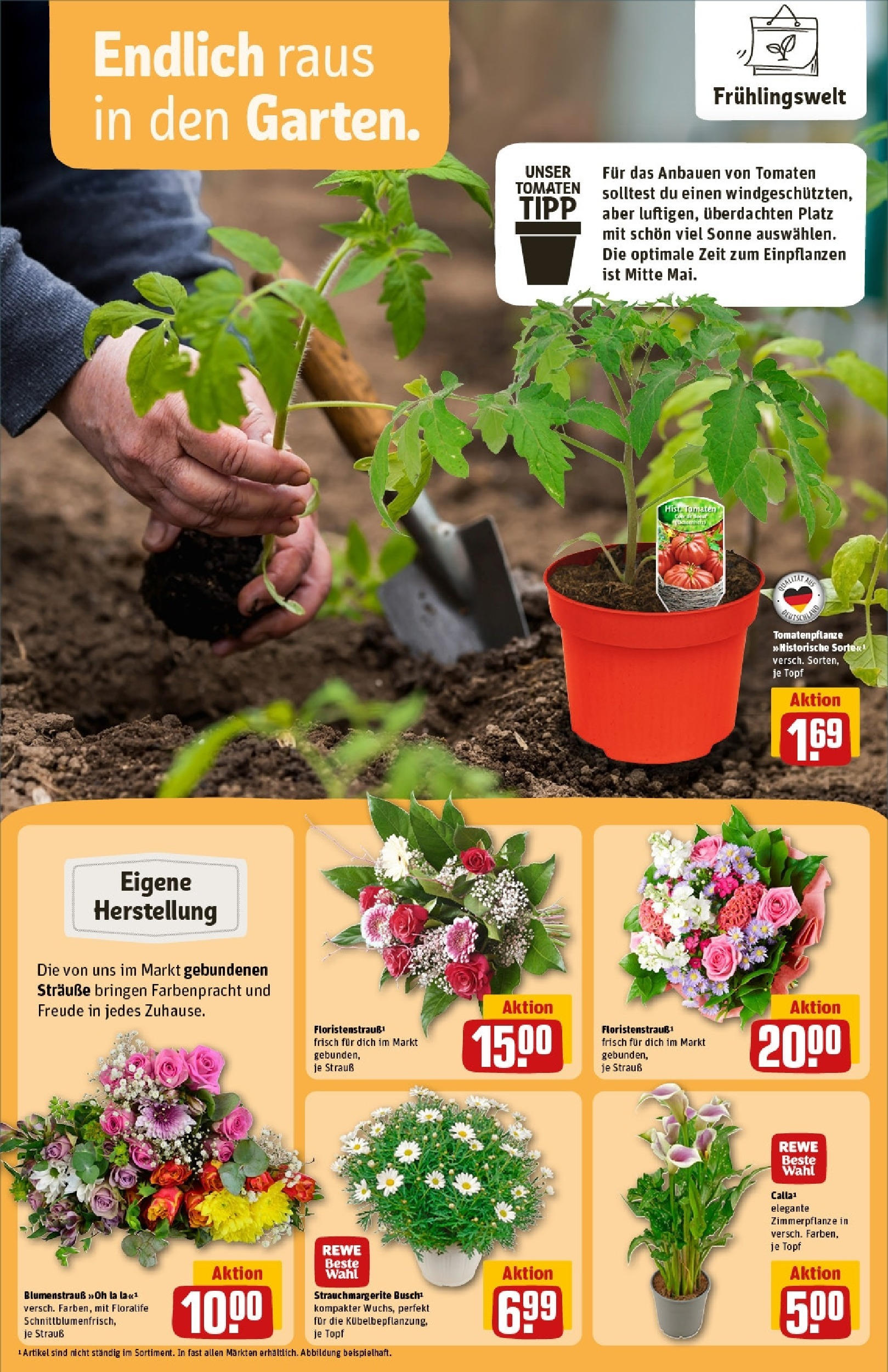 Rewe - Rewe: Wochenangebote (ab 27.04.2025) zum Blättern » Angebote | Seite: 14 | Produkte: Tomaten Rewe - Rewe: Wochenangebote (ab 27.04.2025) zum Blättern » Angebote | Seite: 14 | Produkte: Tomaten