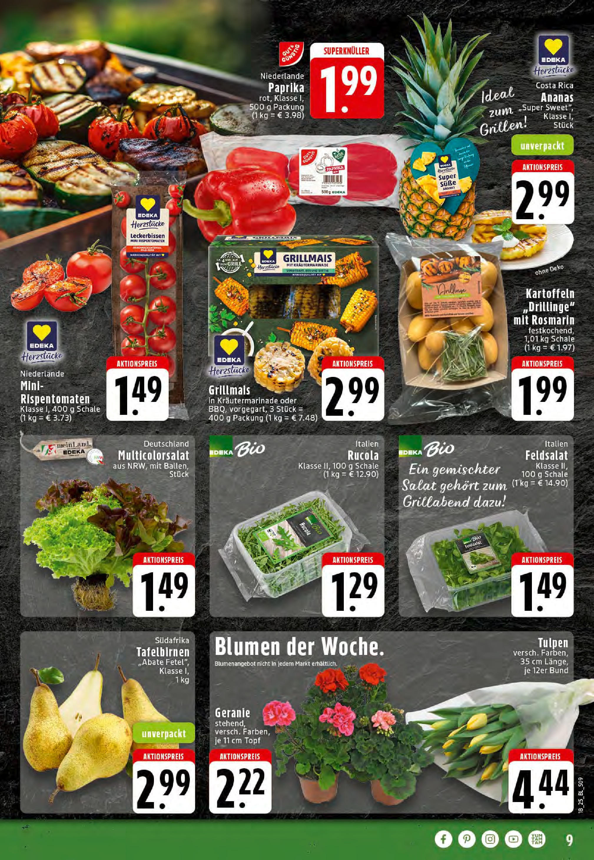 Edeka - EDEKA: Wochenangebote (ab 27.04.2025) » Angebote Online | Seite: 9 | Produkte: Rucola, Blumen, Kartoffeln, Paprika Edeka - EDEKA: Wochenangebote (ab 27.04.2025) » Angebote Online | Seite: 9 | Produkte: Rucola, Blumen, Kartoffeln, Paprika