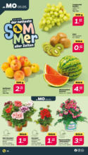 Netto APS : Wochenangebote