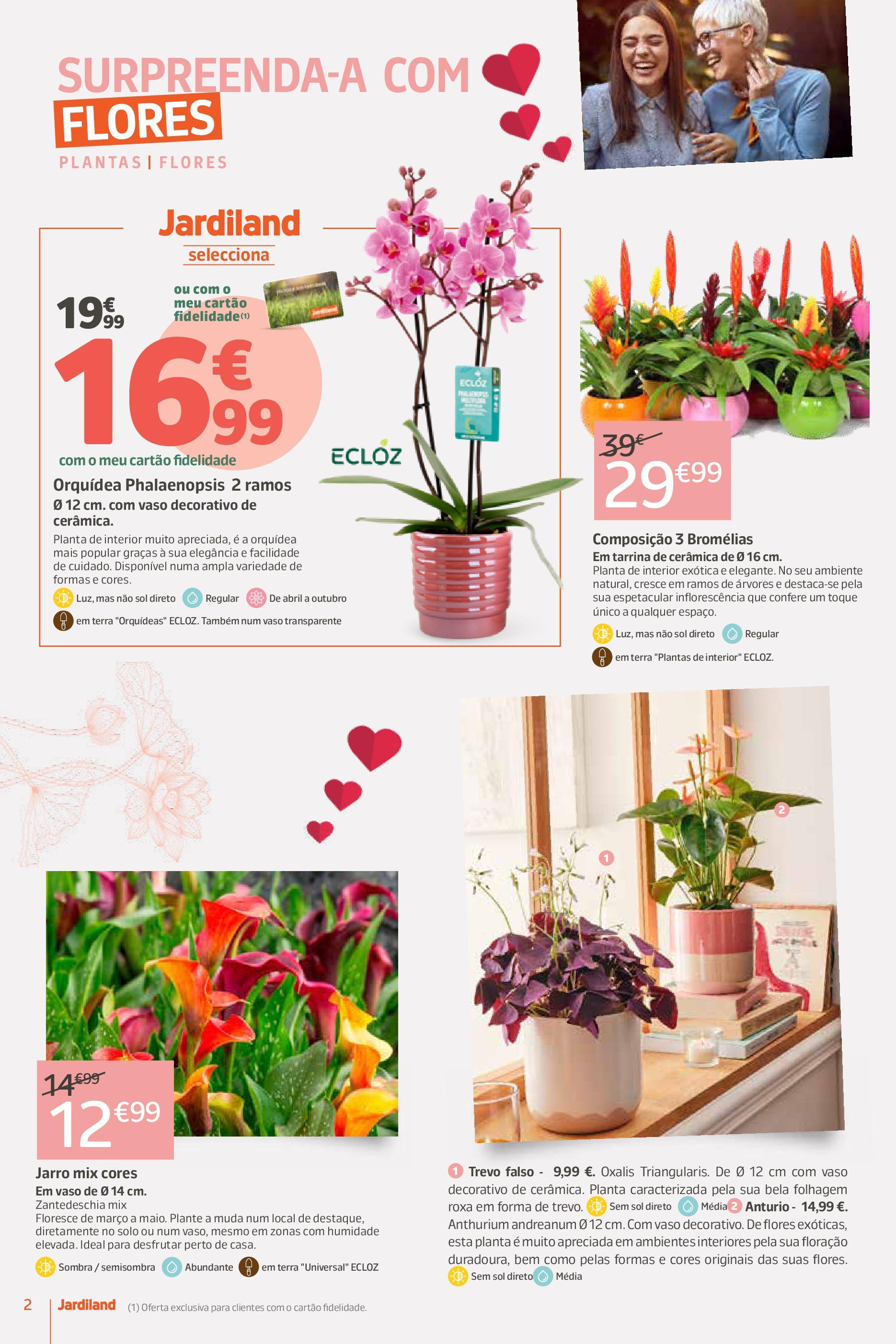 Jardiland - Feliz dia mãe » de 27/04/2025 - 05/05/2025 | Página: 2 | Produtos: Flores, Vaso