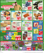 Kaufland: Mo-Mi Der Wochenstart