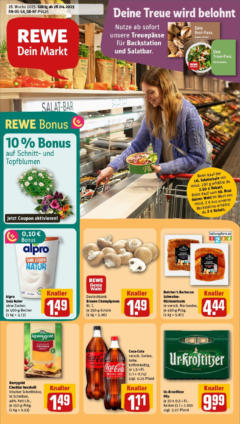 Rewe - Rewe: Wochenangebote gültig ab dem 27.04.2025