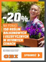 OBI - rosliny egzotyczne -20% ważna do 6.05 OBI – do 06.05.2025
