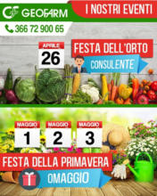 Festa della primavera