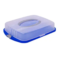 RIVAL Partybutler XL mit Tragegriff 51 x 37,5 x 10,5 cm blau/transparent