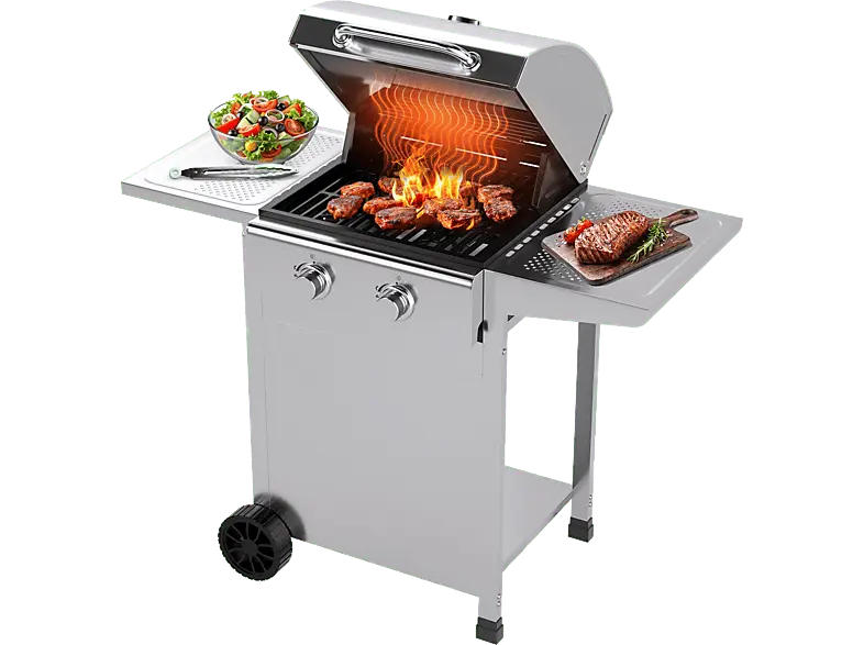Profi Cook PC-GG 1309 2-Brenner Gasgriller, Silber (6 kW)