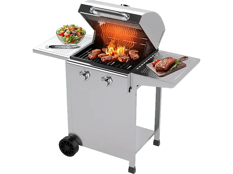 Profi Cook PC-GG 1309 2-Brenner Gasgriller, Silber (6 kW)