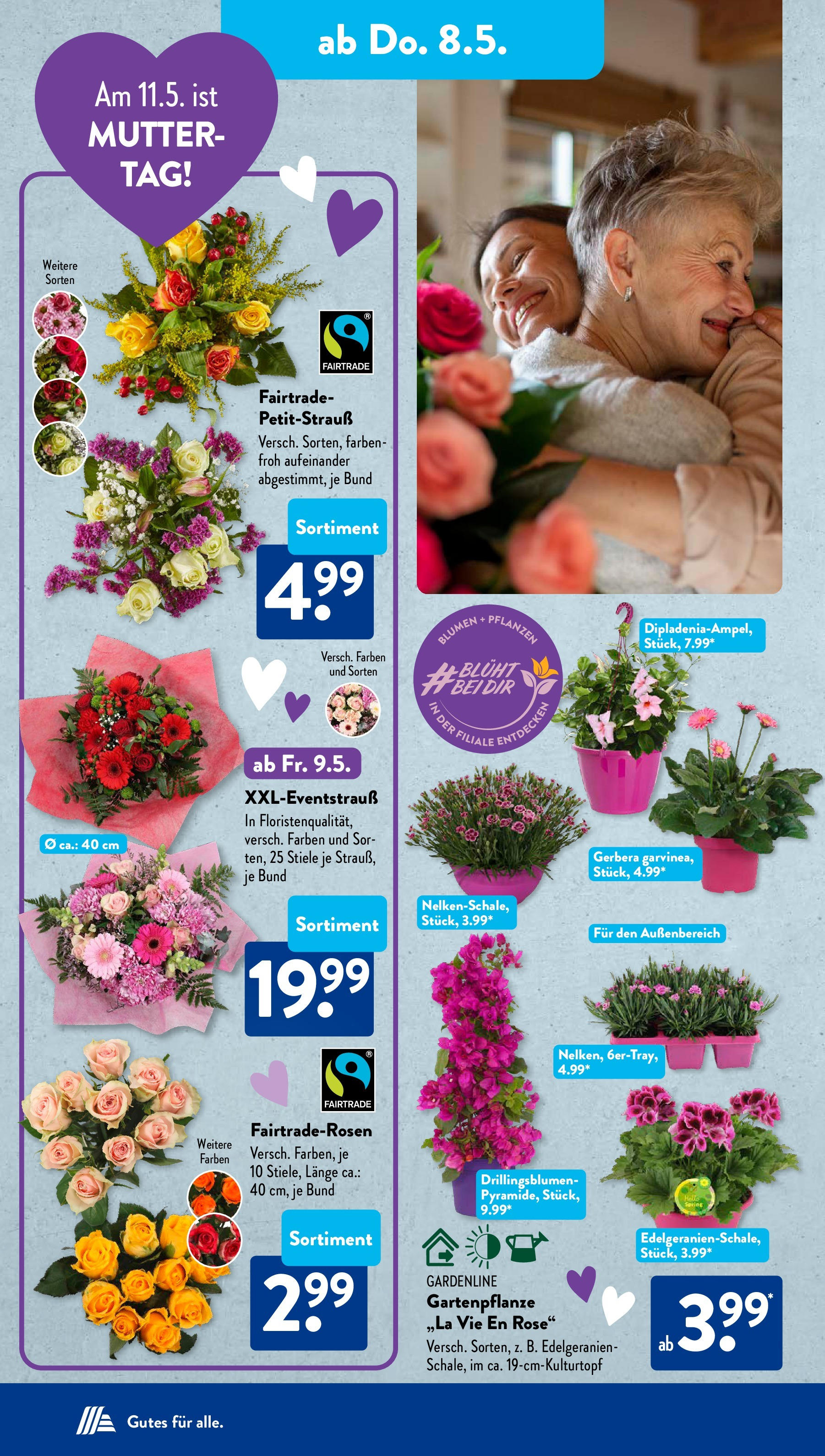 Aldi Süd - Aldi Süd: Wochenangebote (ab 04.05.2025) zum Blättern | Seite: 23 | Produkte: Blumen Aldi Süd - Aldi Süd: Wochenangebote (ab 04.05.2025) zum Blättern | Seite: 23 | Produkte: Blumen