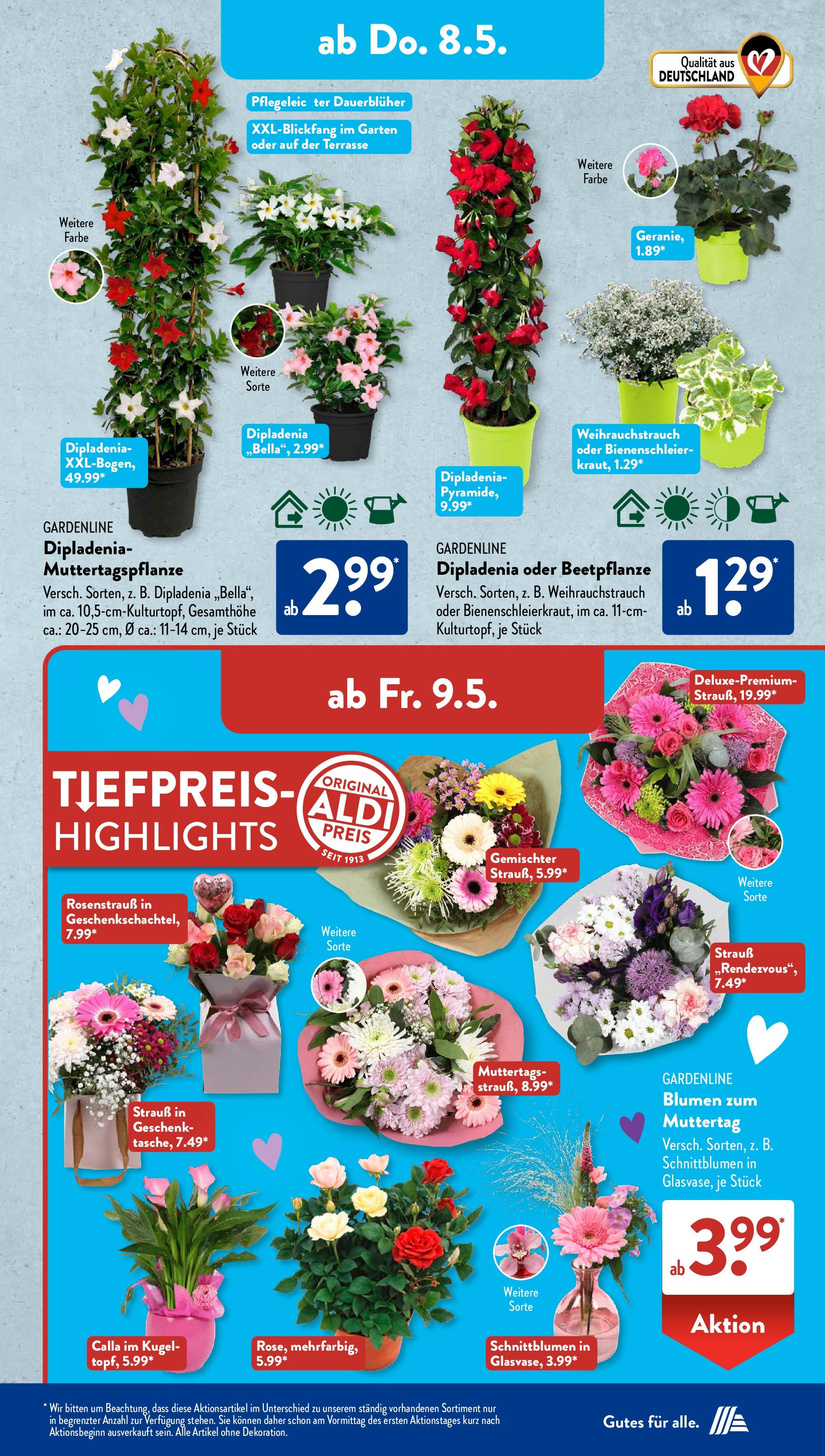 Aldi Süd - Aldi Süd: Wochenangebote (ab 04.05.2025) zum Blättern | Seite: 24 | Produkte: Blumen Aldi Süd - Aldi Süd: Wochenangebote (ab 04.05.2025) zum Blättern | Seite: 24 | Produkte: Blumen