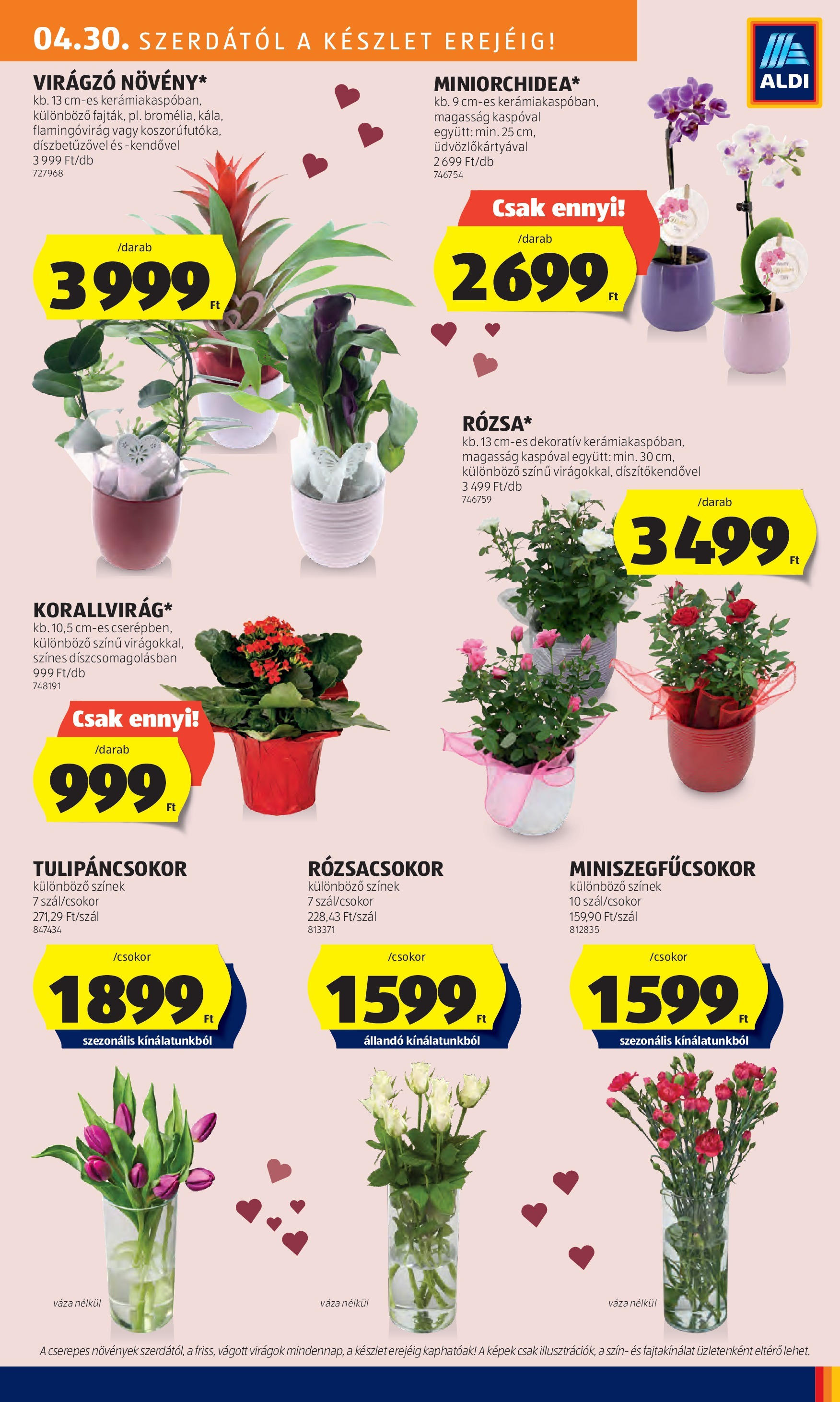 Aldi - Aldi újság érvényessége 2025.05.07.-iG - 2025.04.29. -tól/töl > akció, lapozható szórólap 🛍️ | Oldal: 19 | Termékek: Virágok, Váza